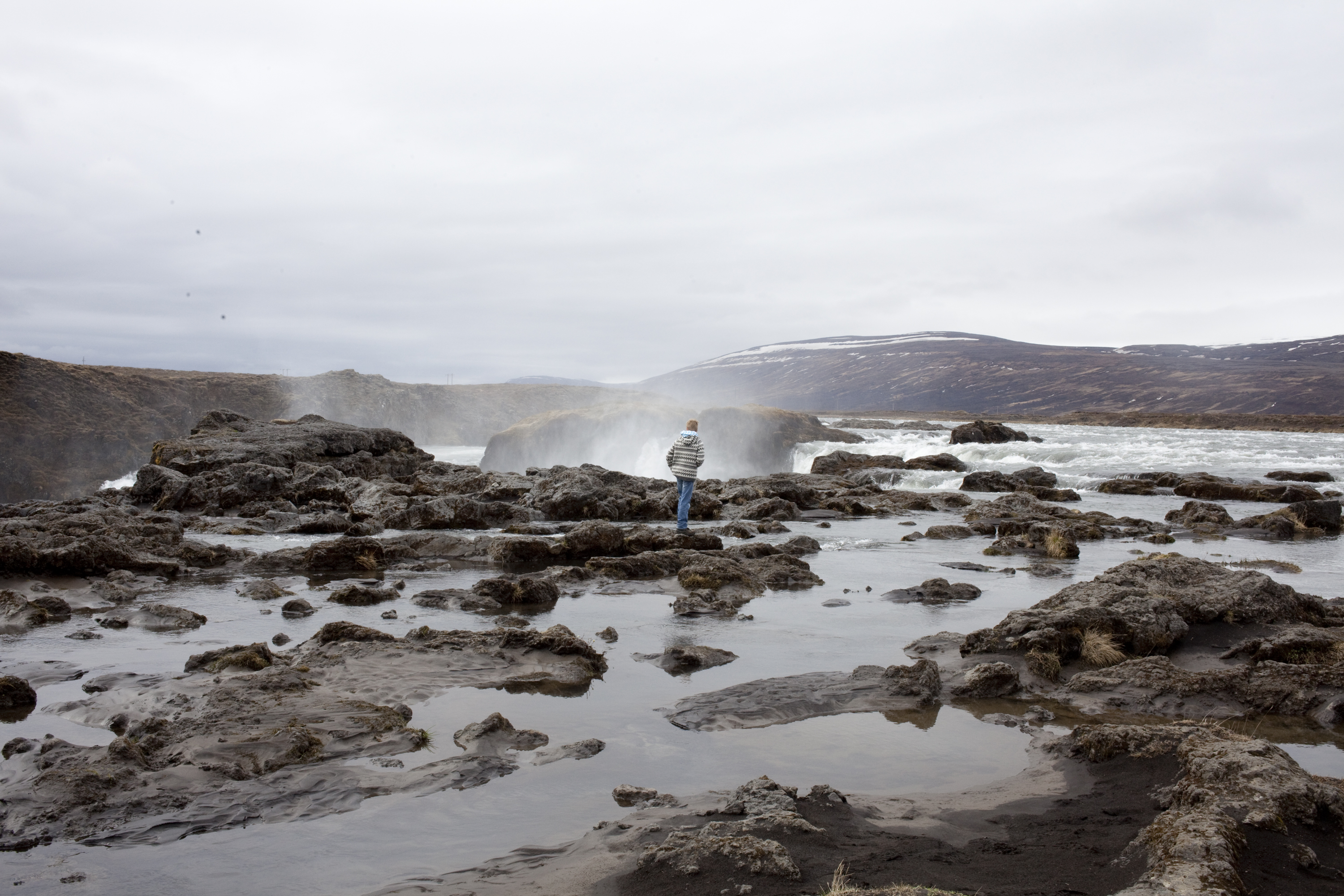 Midges Overwhelming Lake Mývatn