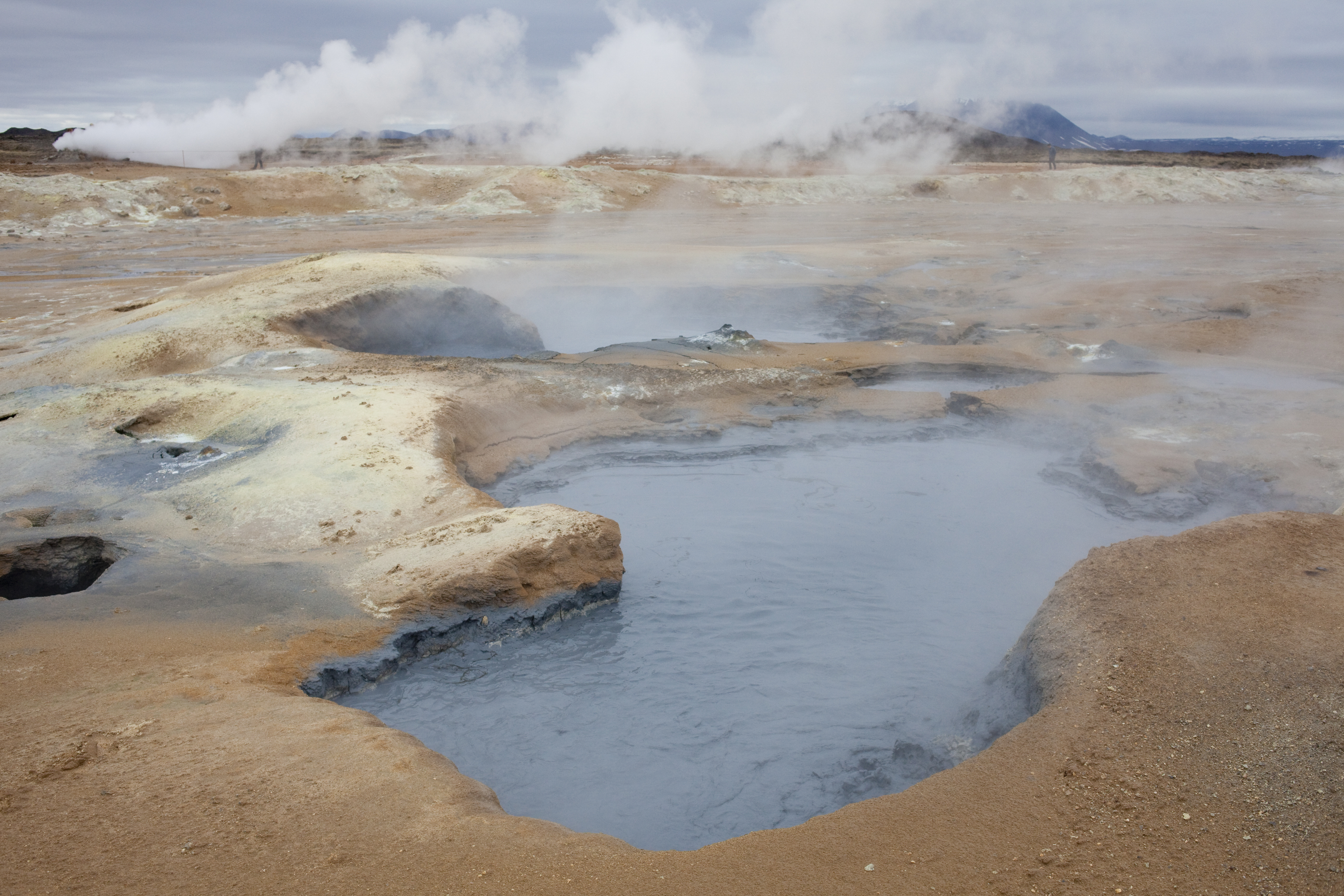 Large Quantities Of Marimo Found In Lake Mývatn