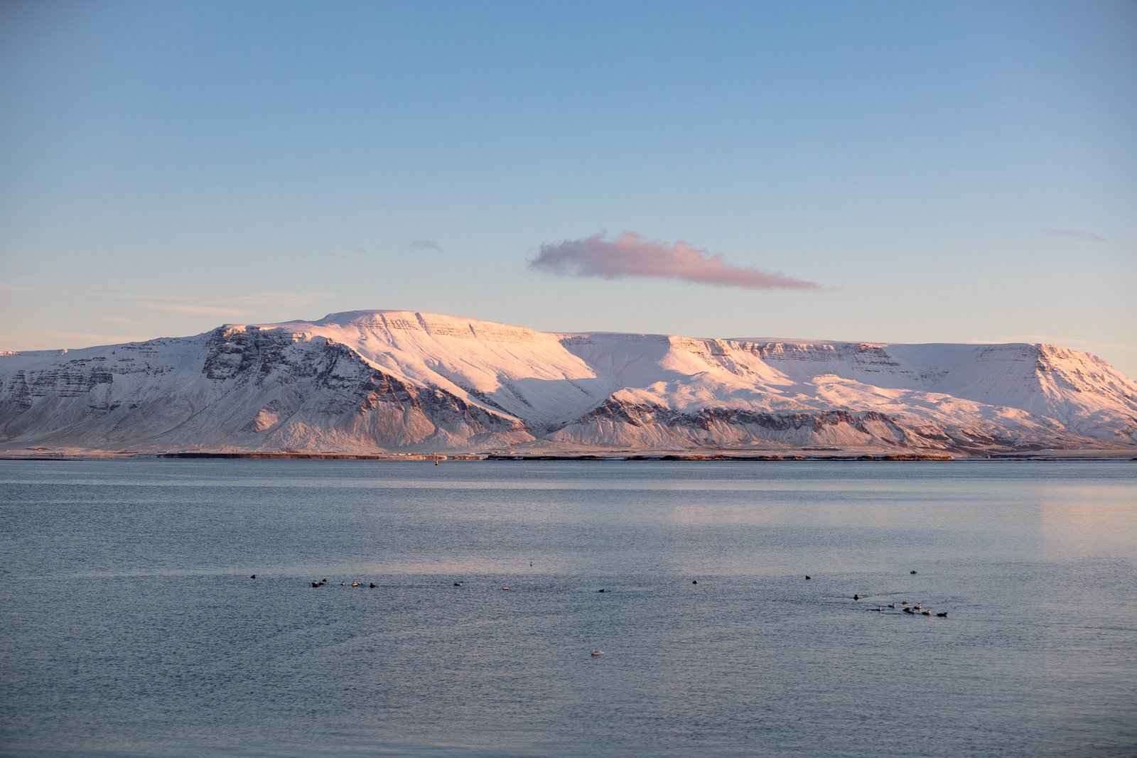 Seven Peaks In Seven Days: A 40-Year-Old Icelandic Man’s Quest For Bodily Destruction