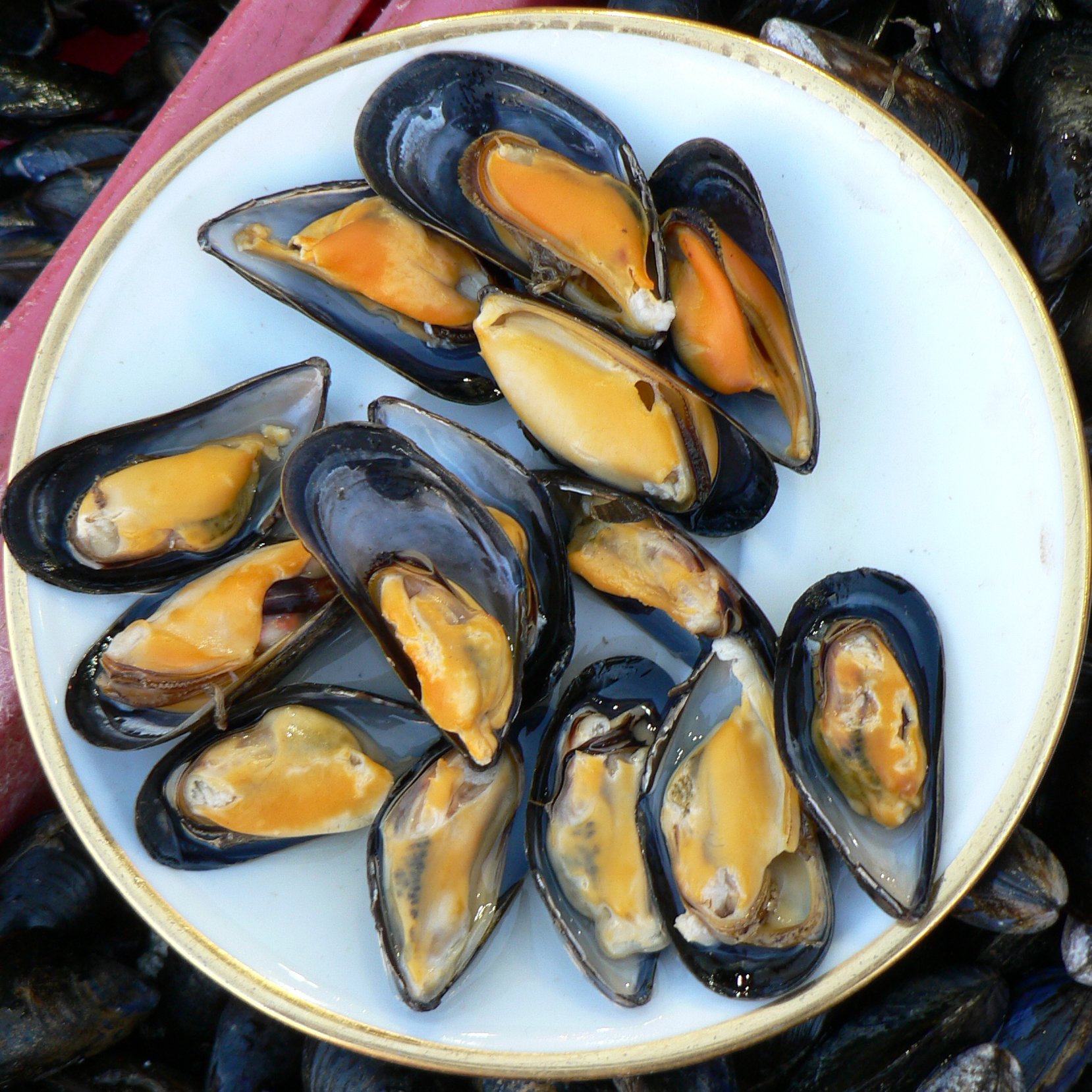 Image result for mussels pic