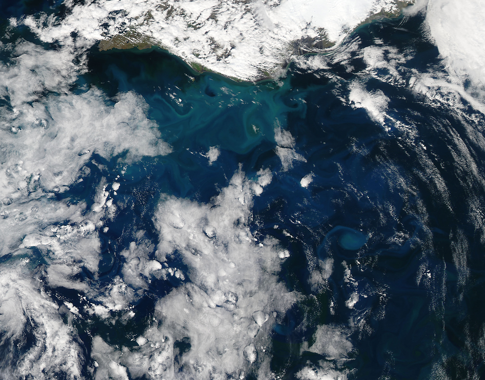 NASA Captures Beautiful Plankton Formation Off Icelandic Coast