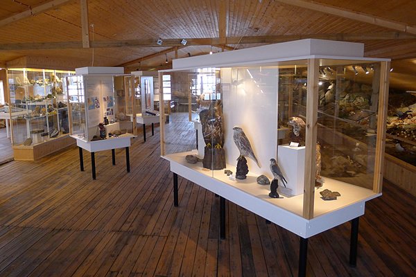 Best Of East Iceland 2018: Best Museum/Gallery