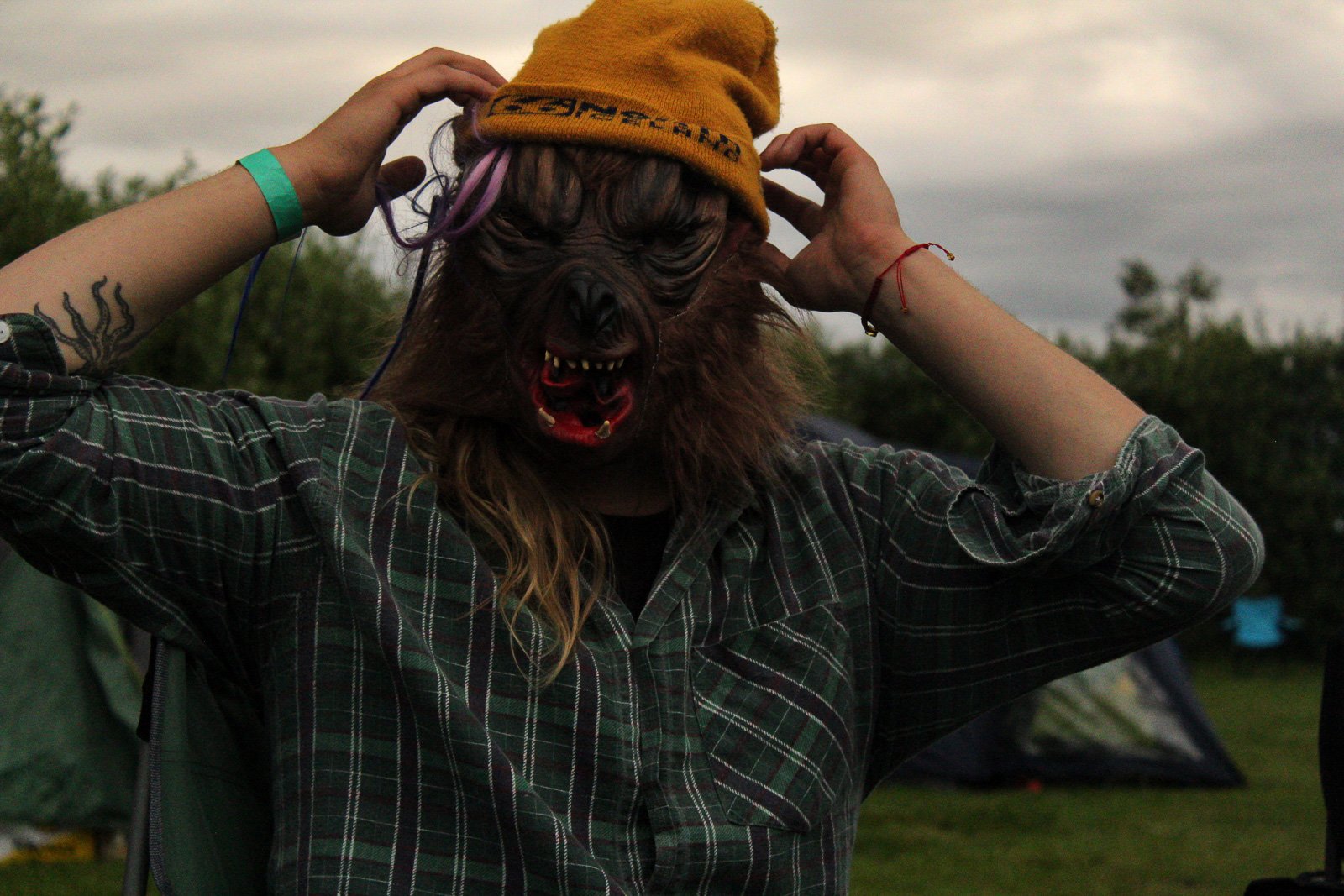 Visiting The Family: Norðanpaunk Assembled Iceland’s Underground Scene