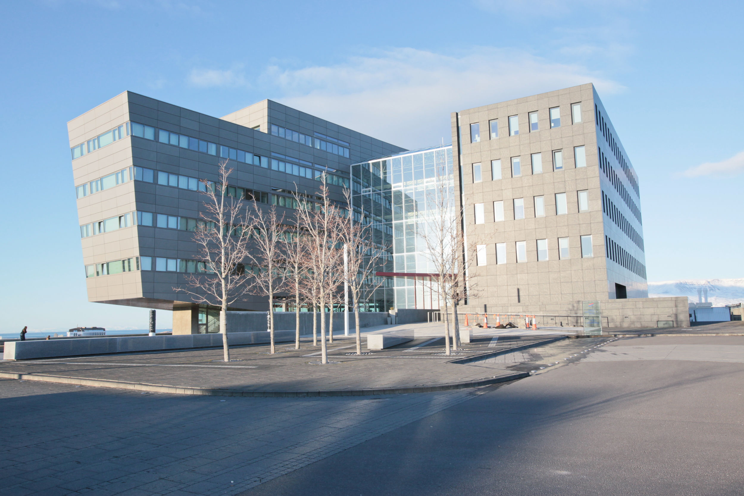 Fired Employee Sues Icelandic Energy Company That Ignored Her Harassment Claims
