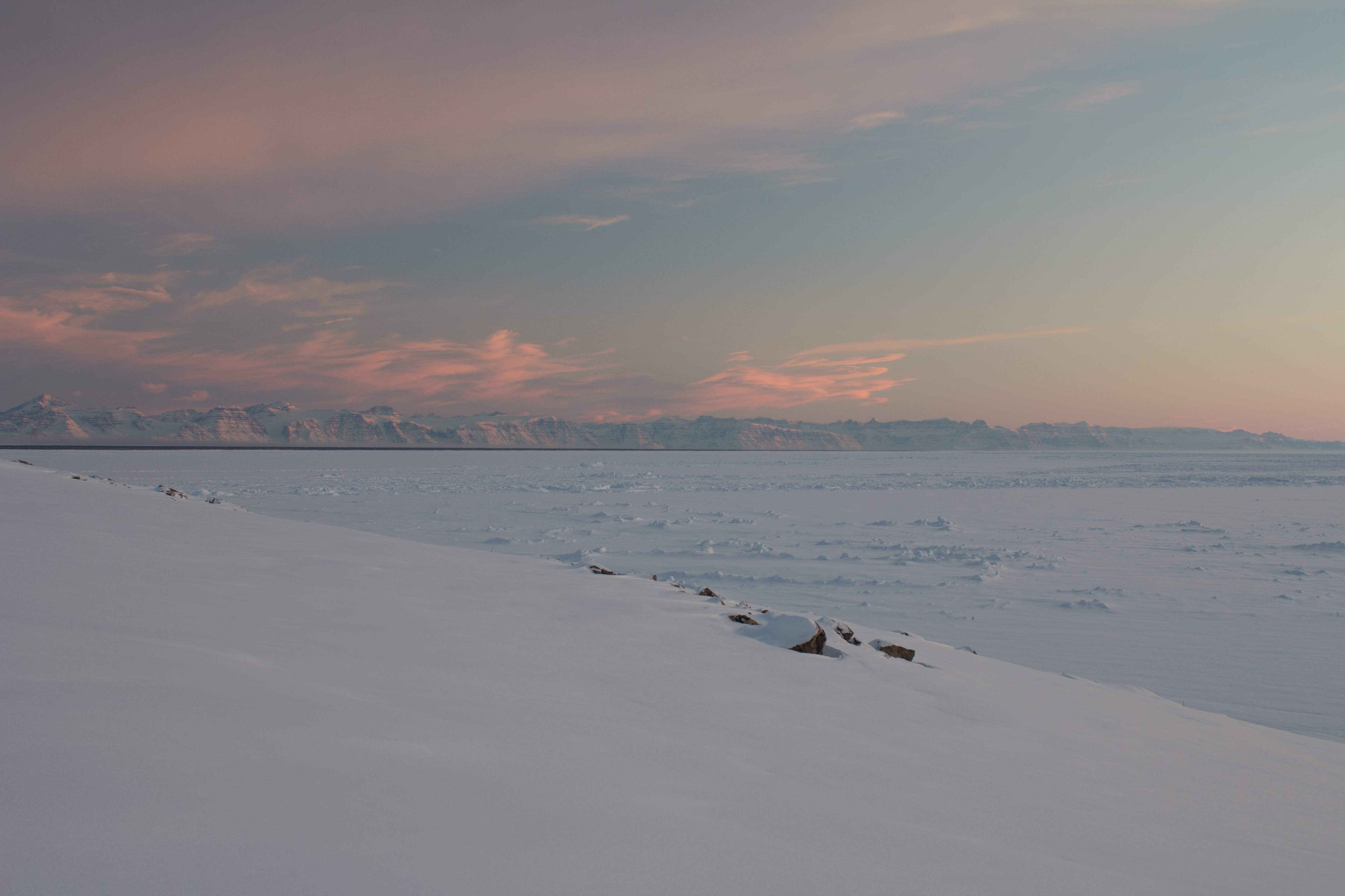 The Future Of The Arctic Is Being Determined At Harpa This Weekend