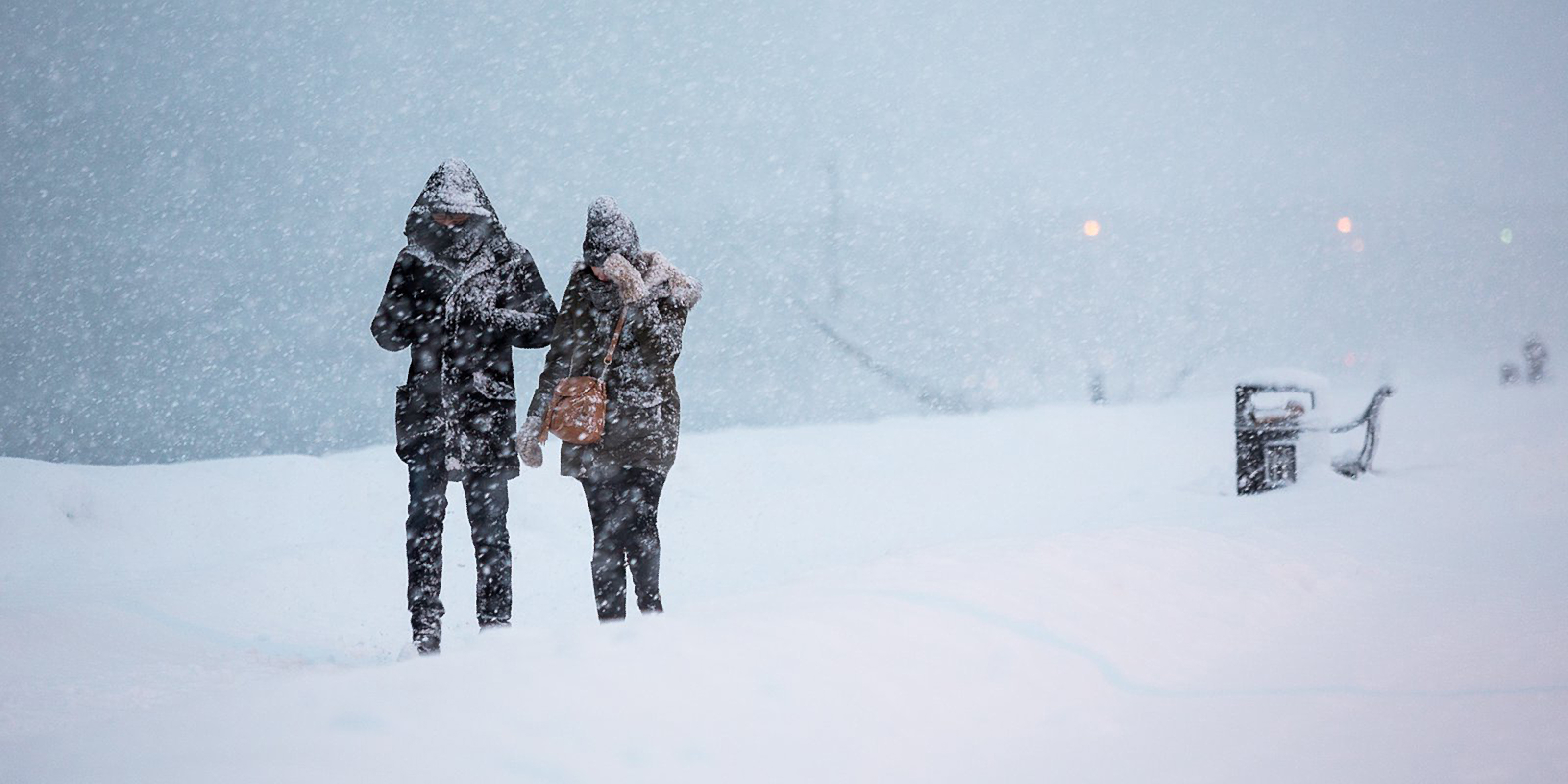 Wintern Diaries #2: ‘Tis The Season