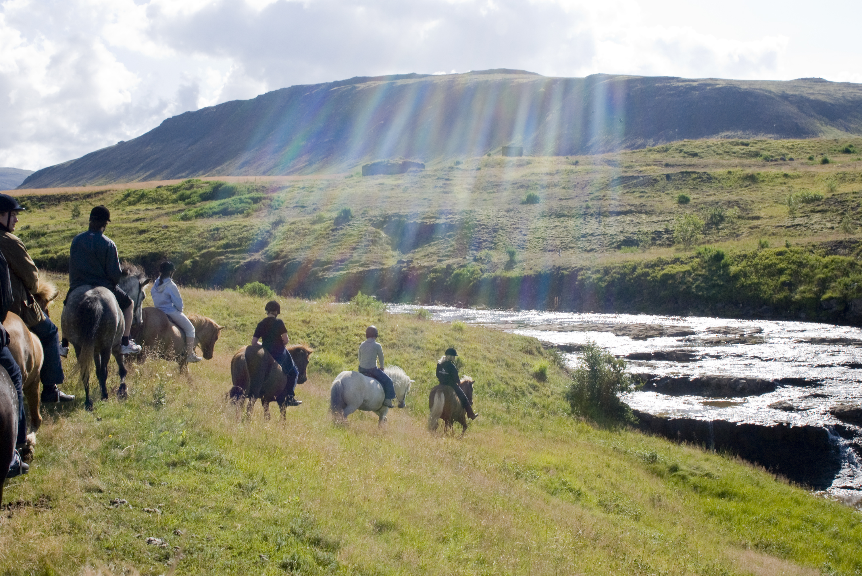 All The Pretty Little Horsies: Getting Stirred-up With Icelandic Equine