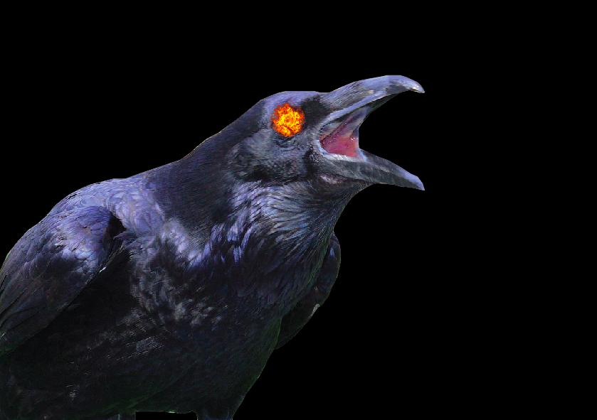 Ravens Disembowel Lamb, Farmer Plots Revenge