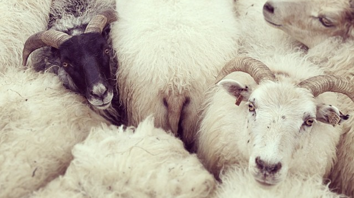 This Week’s Instagram Contest – 177 Entries And TWO Winners!