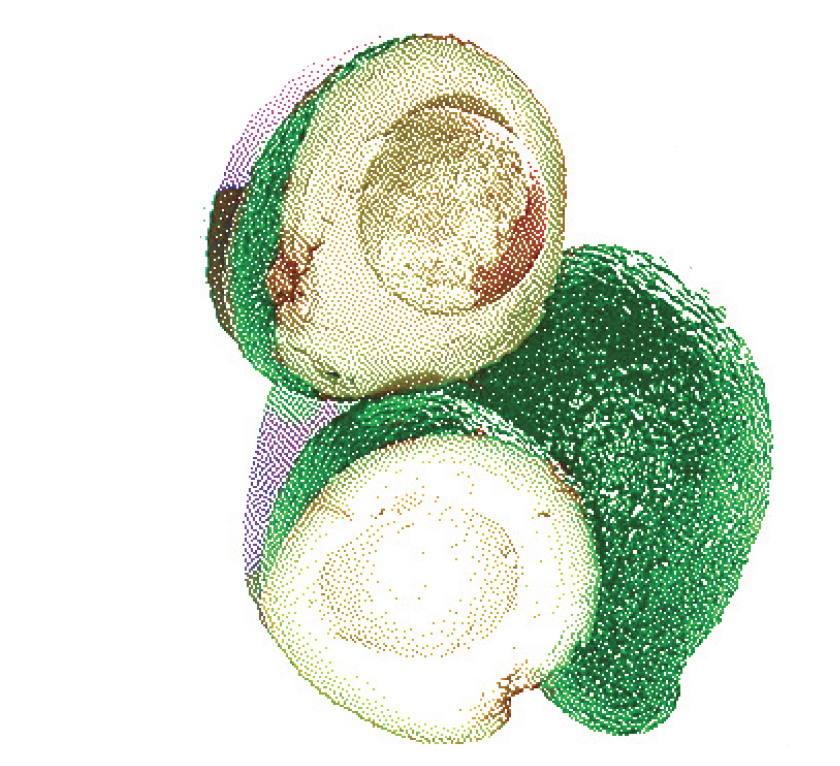 I <3 U Bónus Avocados