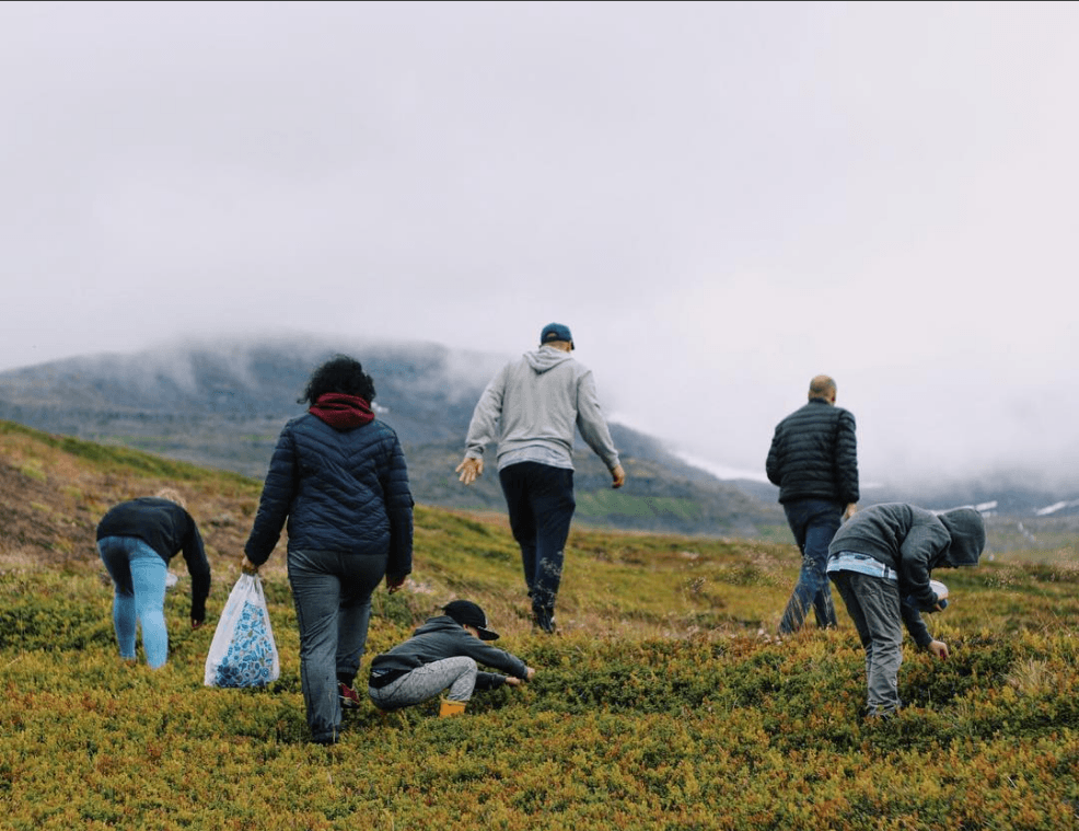 The Berry Picking Winners Of This Week’s #GVPics Are Here!