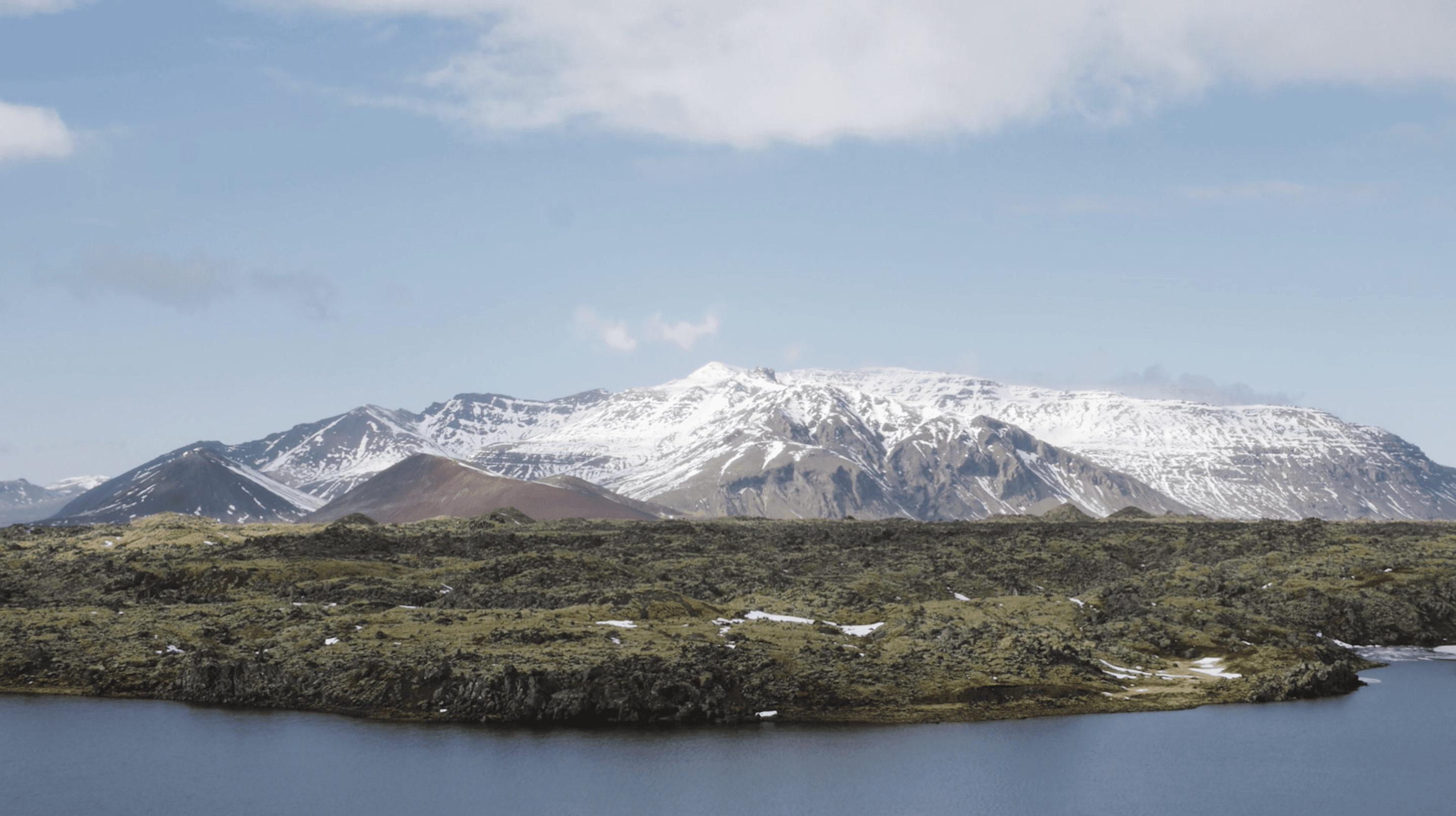 Video: Take a One Minute Nature Break