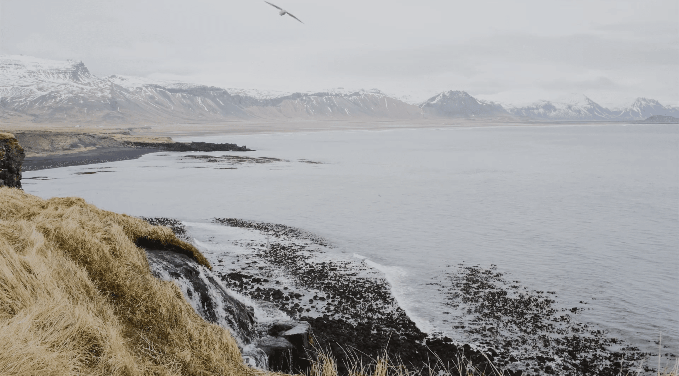 Video: Take a One Minute Black Sand Beach Break