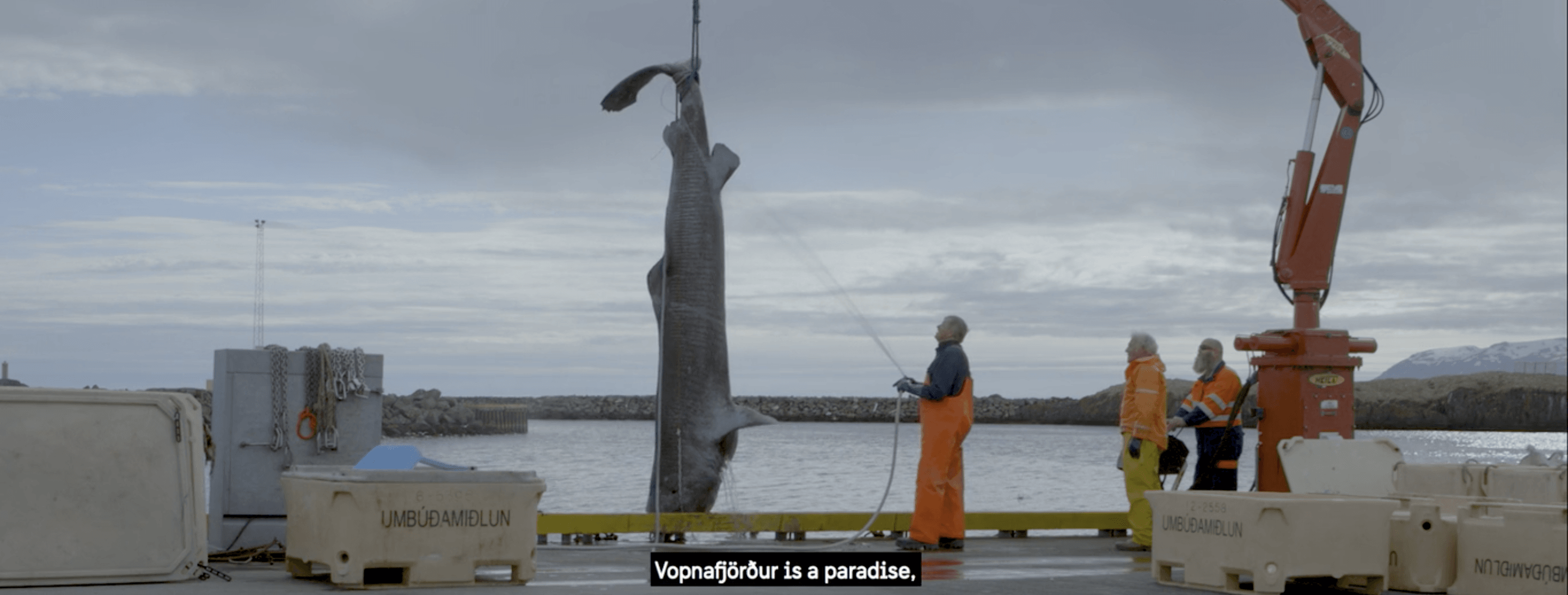 Inside Small-Town Icelandic Life In ‘690 Vopnafjörður’