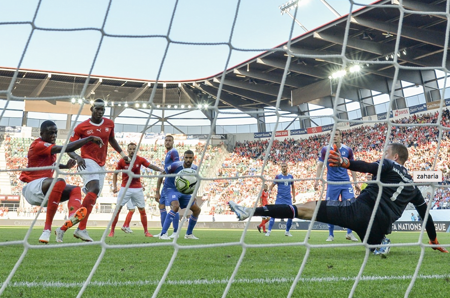 Iceland Smited 6-0 By Switzerland During Possible Mushroom Freakout
