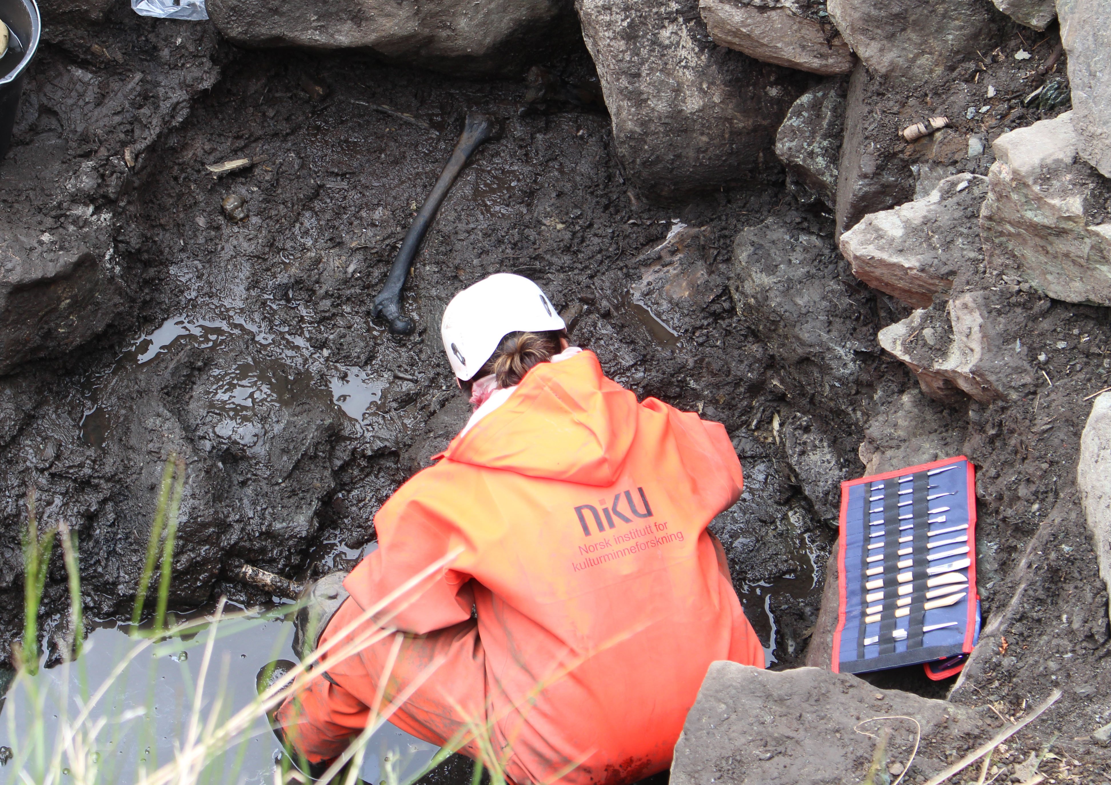 “An Addition To History”: Bones From The 9th Century Lead To Investigation