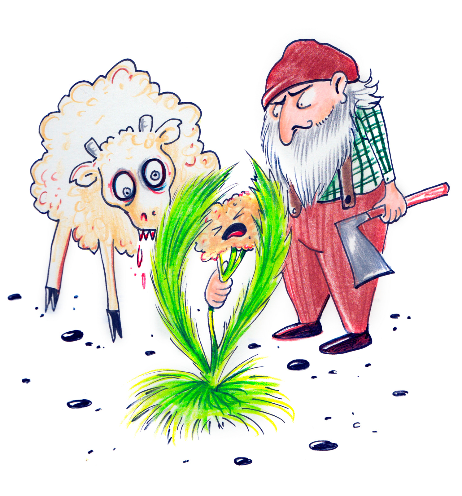 So What’s This Changing Flora I Keep Hearing About?