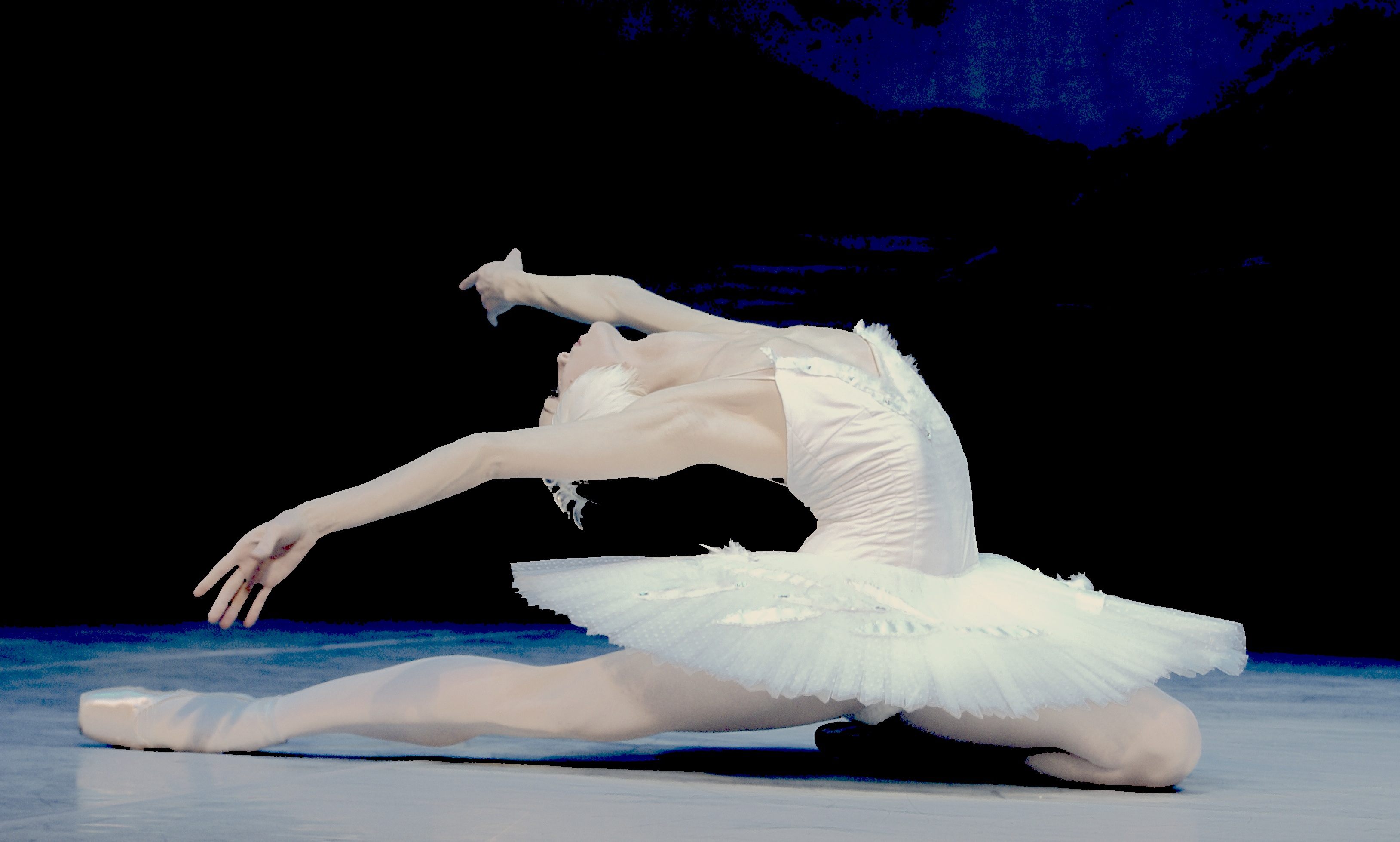 танец маленьких лебедей из балета лебединое озеро