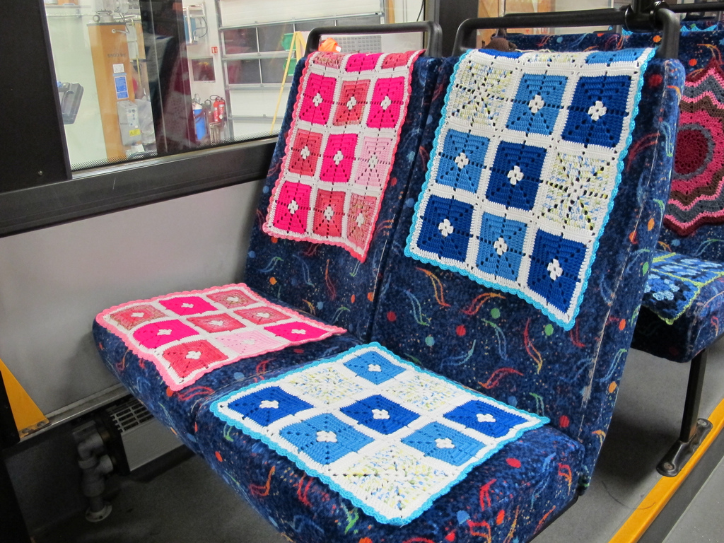 Bus Company Looking Into Letting Pets On Board