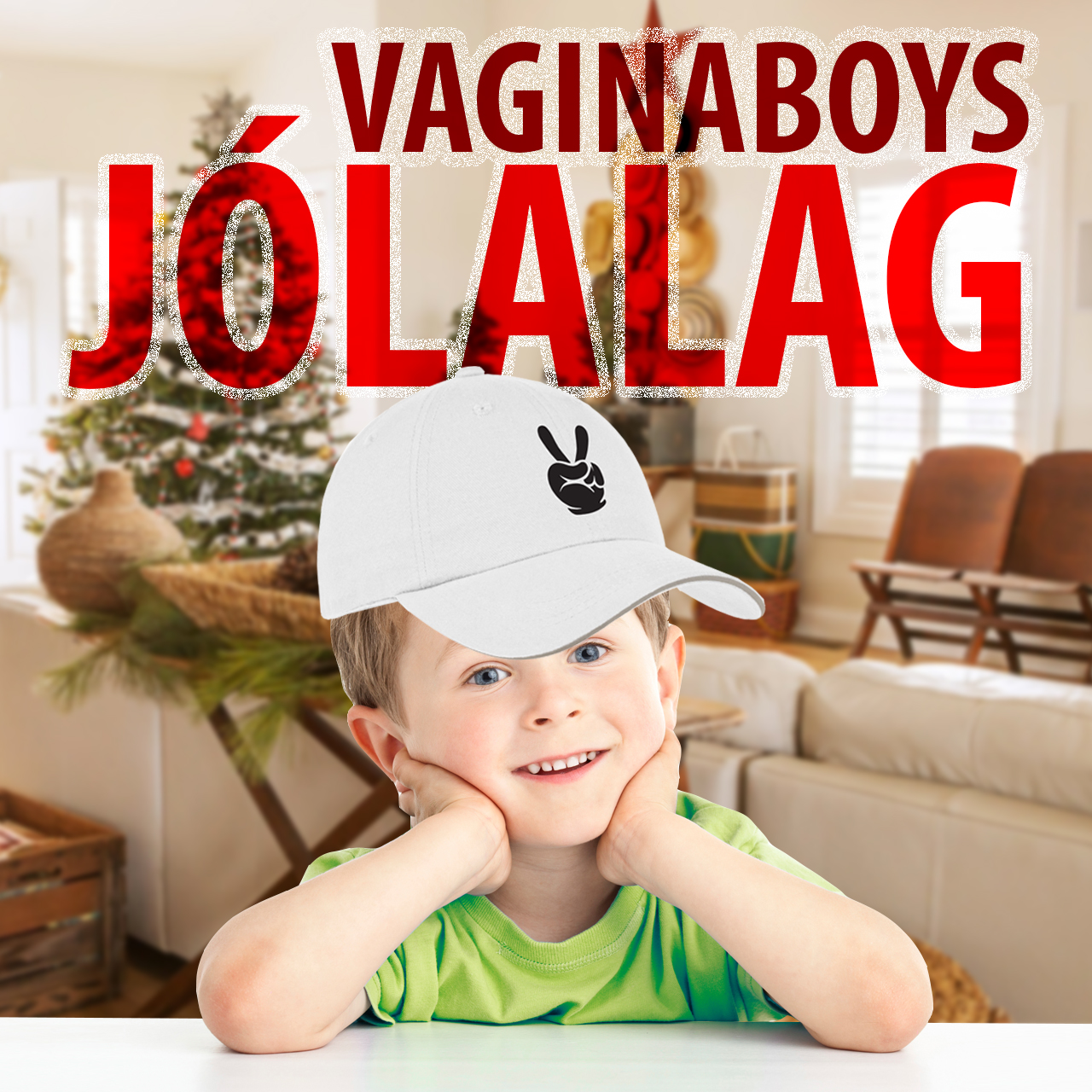Download This! “Jólalag” By Vaginaboys