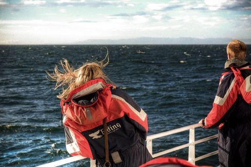 Whale Watching Companies Against Whale Hunting