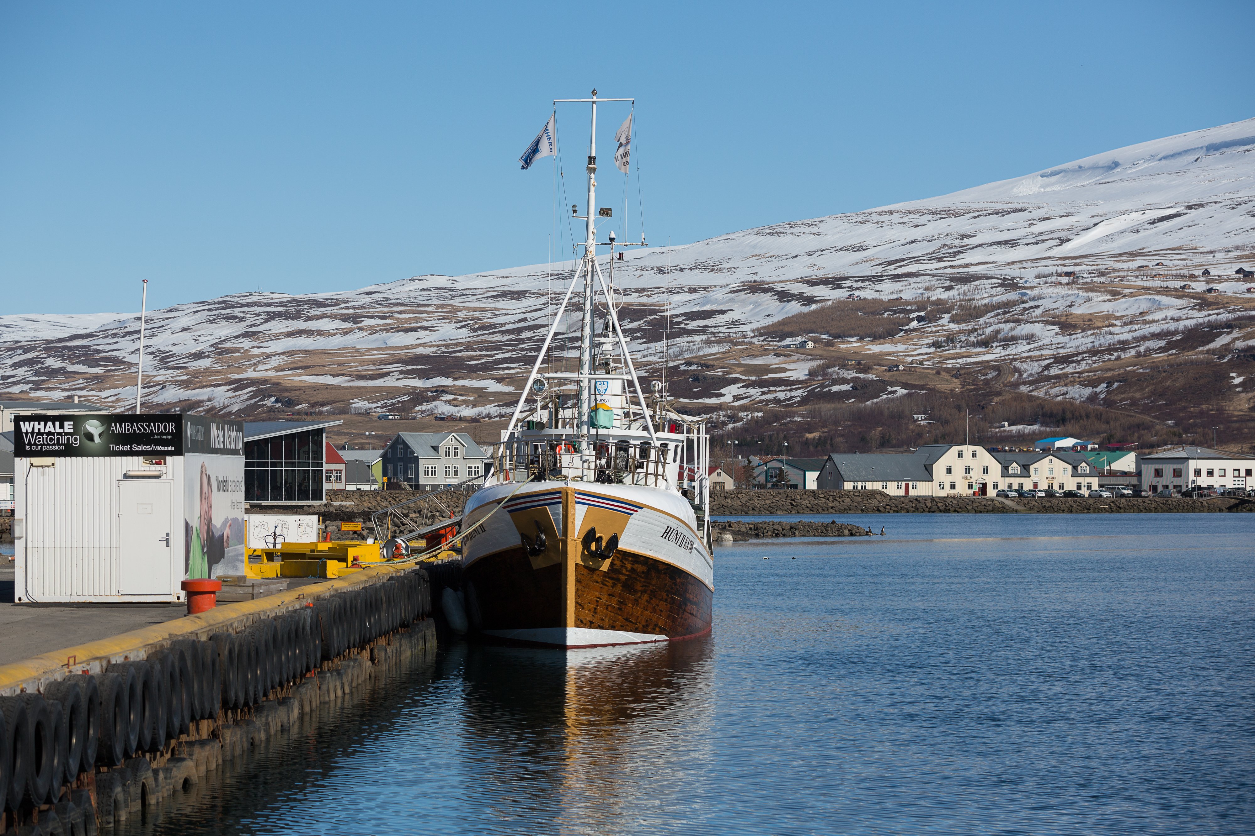 Naval Mine Weighing 145 Kilograms Detonated In Eyjafjörður