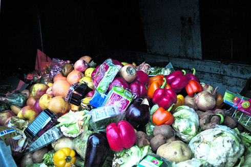 A Dumpster Diver´s Paradise