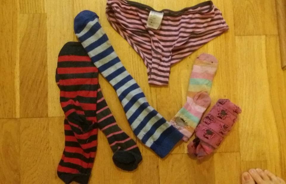Reykjavík Cat “Burglar” Steals Striped Knickers