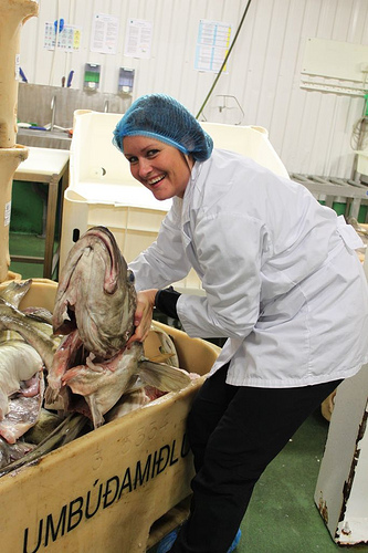 In Iceland’s Fish Industry, The Women Are From Marz