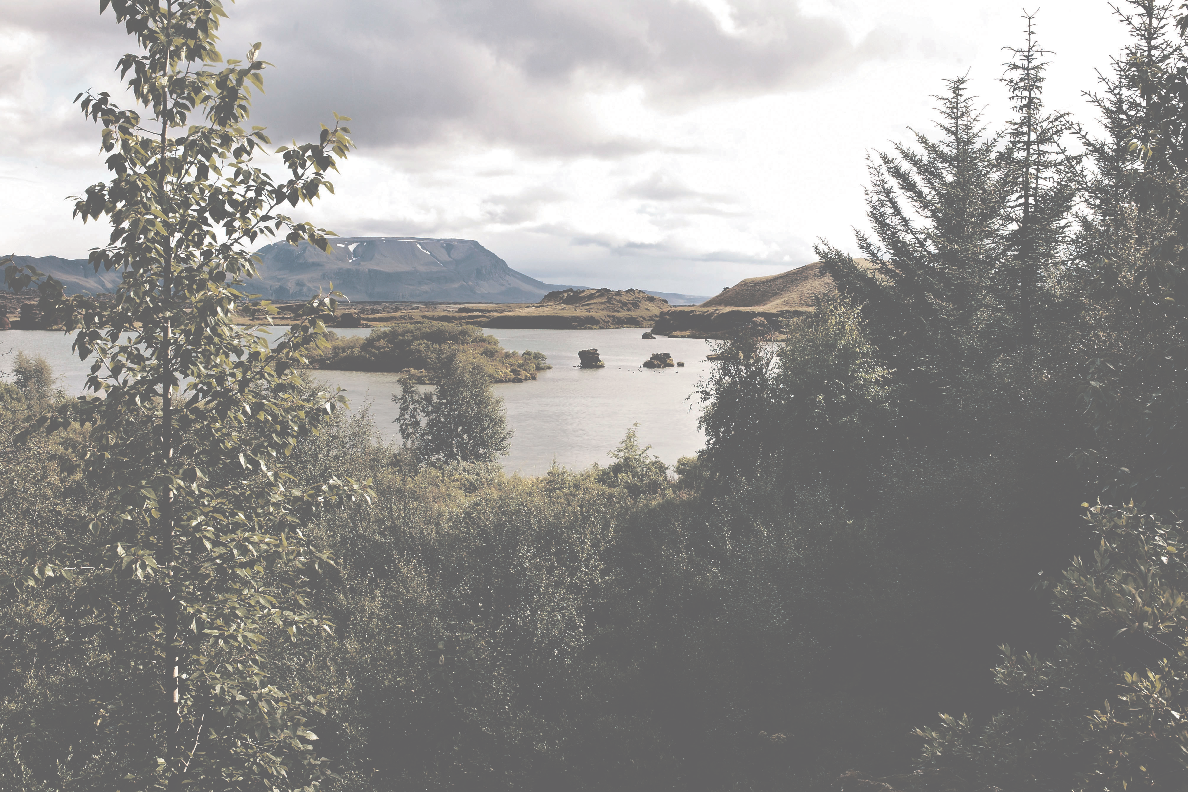 Come to Daddi’s! The Lake Mývatn Region Explored Via A Pizza Menu. Yes, A Pizza Menu.