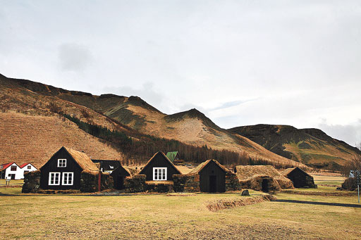 A Day Trip to the South Coast: Skógar