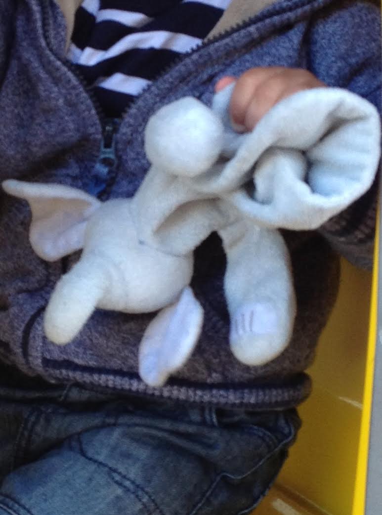 Have You Seen This Elephant? It’s Called Tissy, And It Is Sorely Missed
