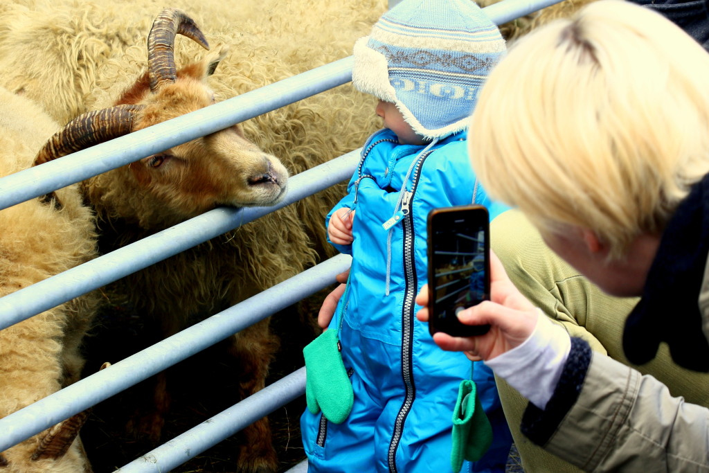 Bilingual Children Learn Limited Icelandic