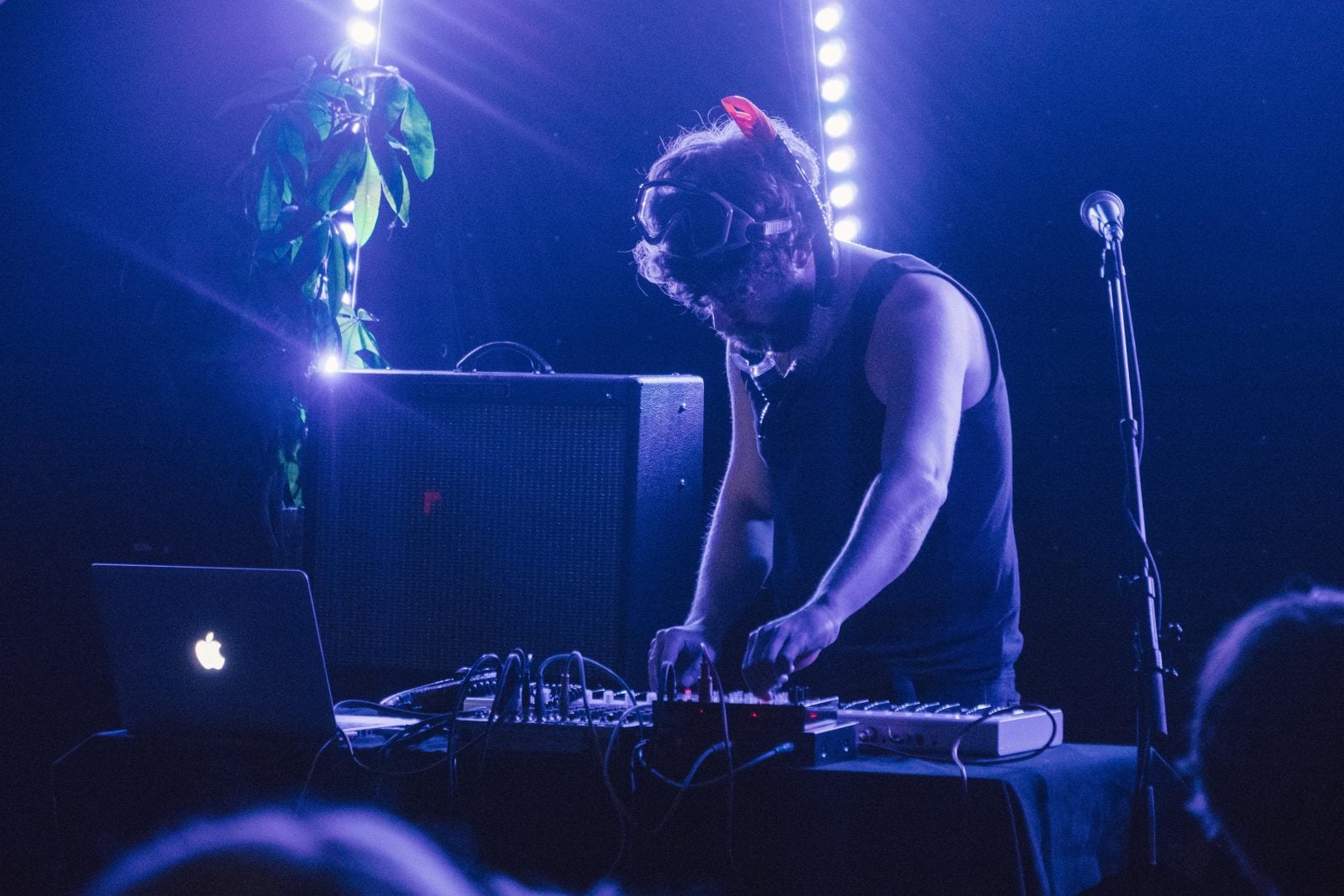 Photos: Grapevine Grassroots n° 5