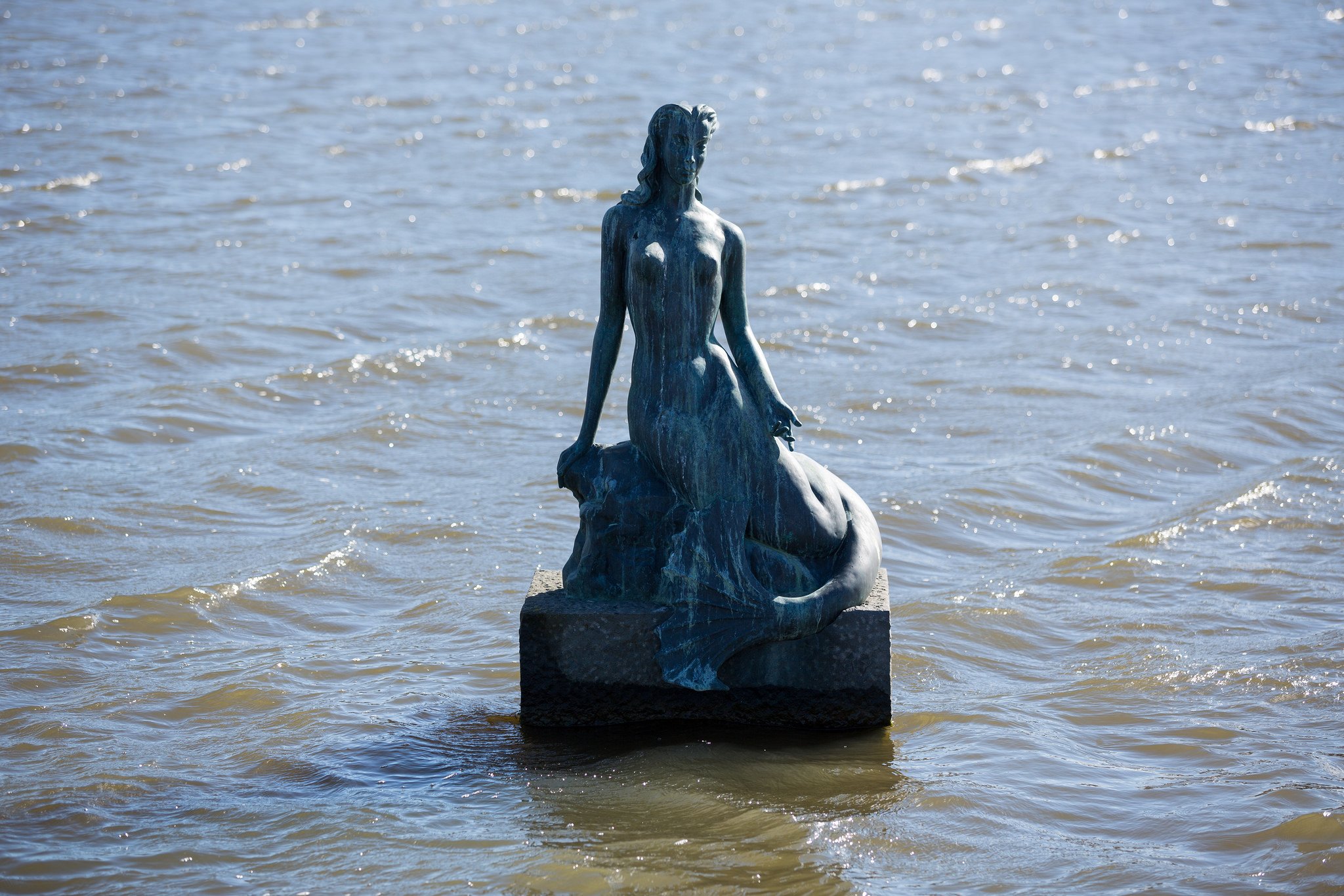 The Tjörnin Pond Mermaid Hides Underwater