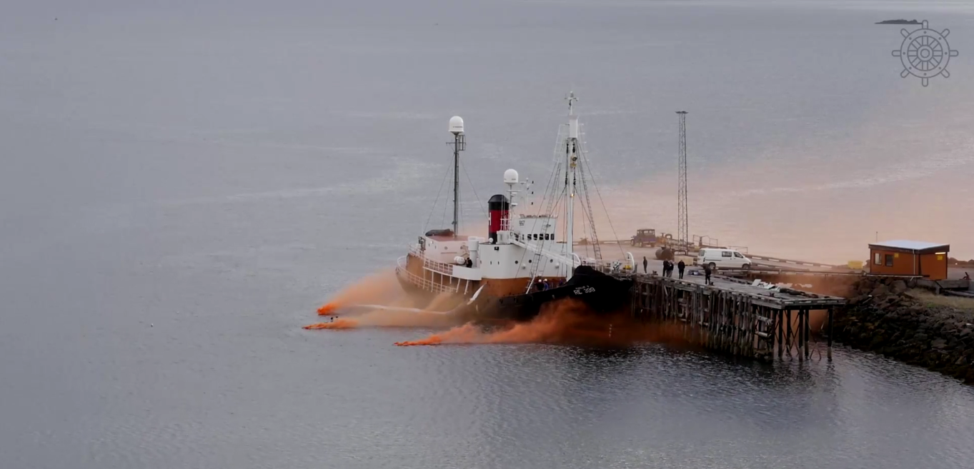 Minister Grants Permit To Allow Whaling To Resume