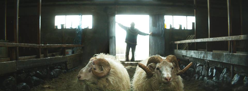 Hrútar Makes Cannes Un Certain Regard Lineup