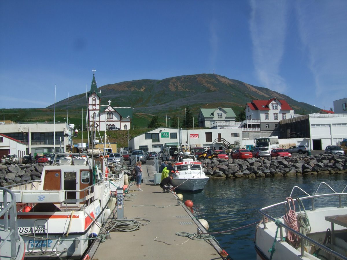 High Hopes For Húsavík