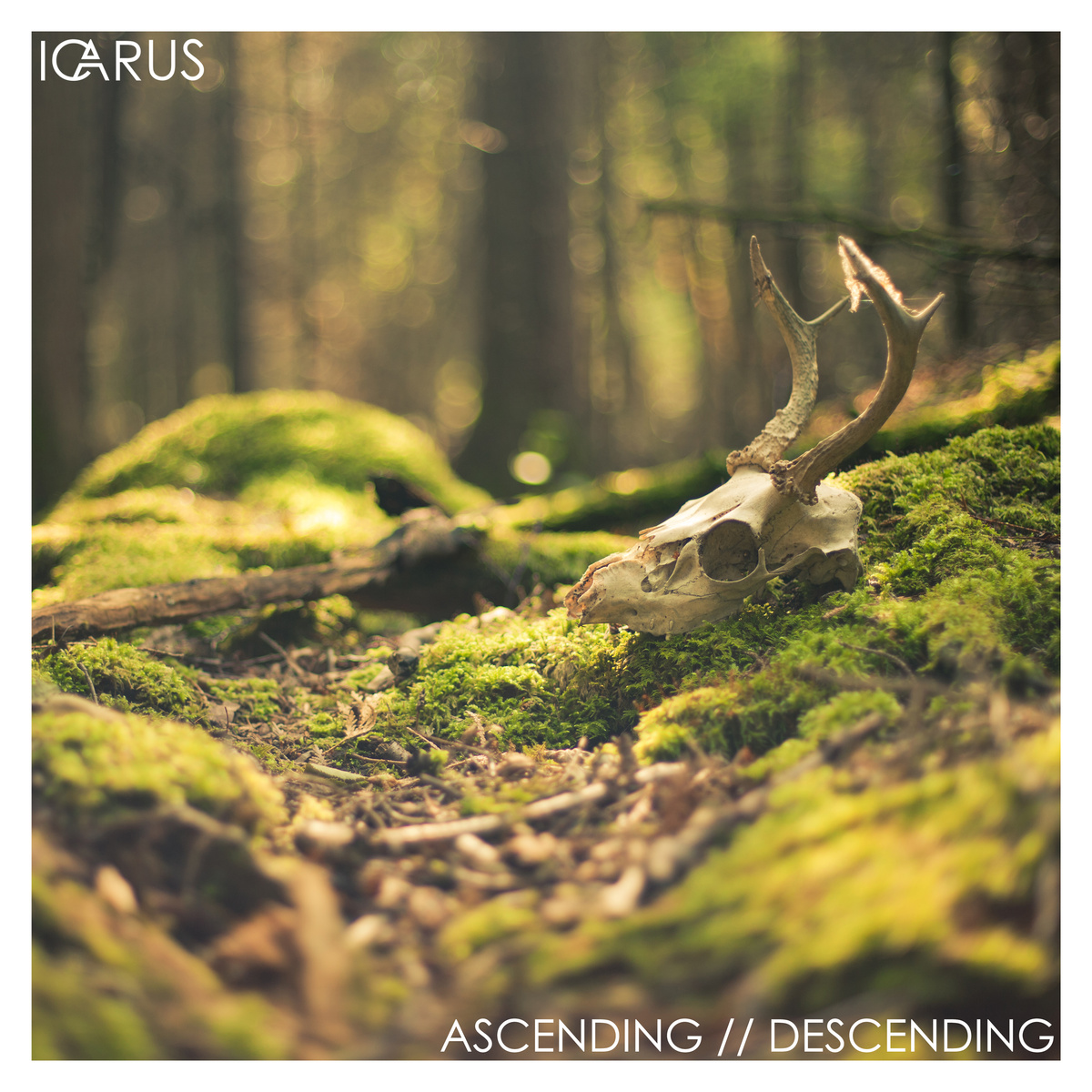 Ascending//Descending