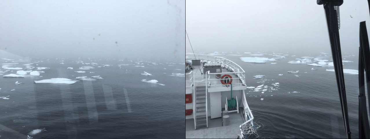Sea Ice Spotted Off The Coast Of West Fjords