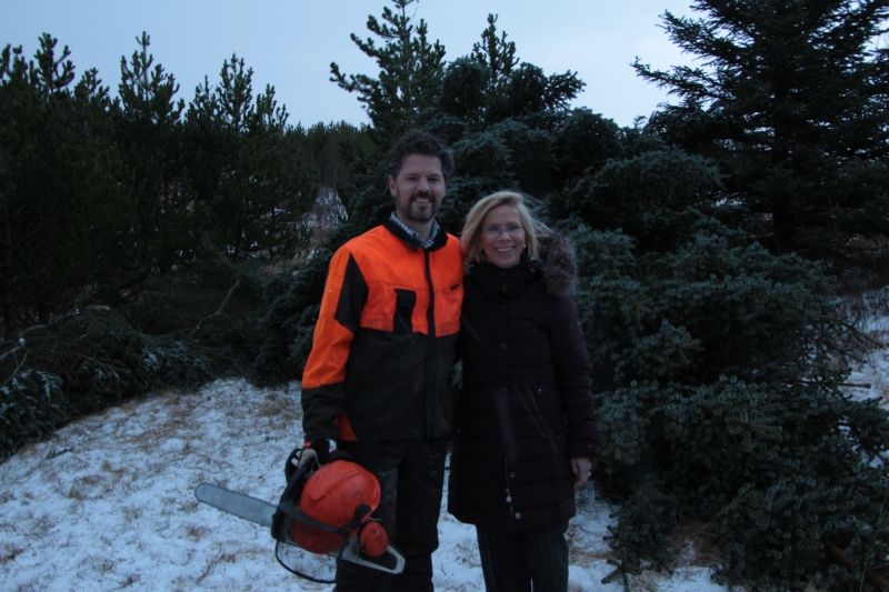 Oslo Christmas Tree Disaster Narrowly Averted