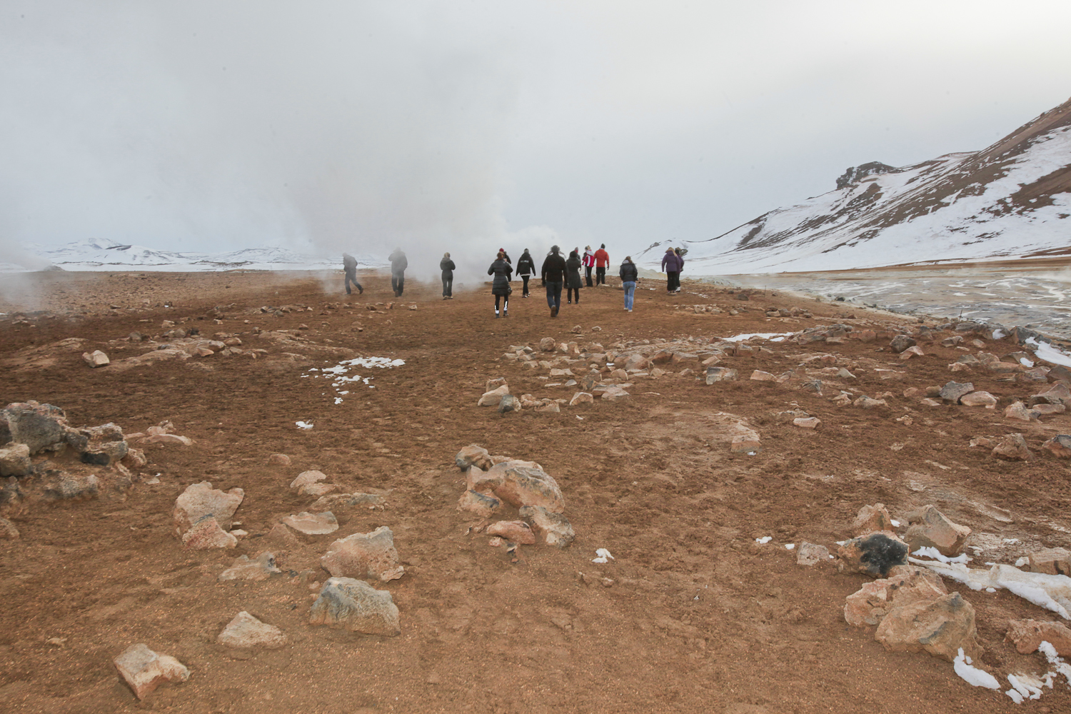 Husavík: Tales Of Whales And Birds
