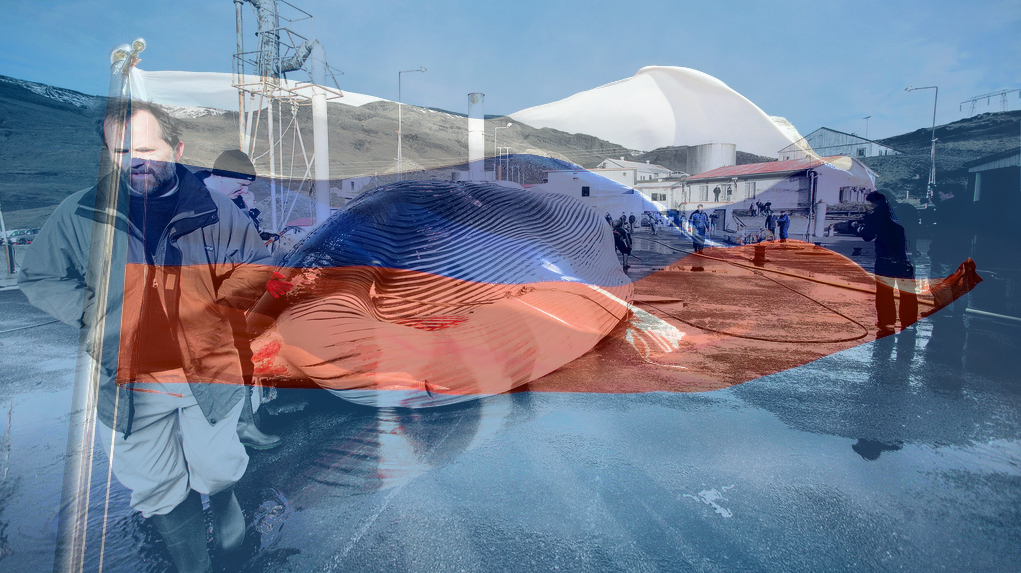 Fish And Whaling Chiefs Go Fishing With Russian Officials