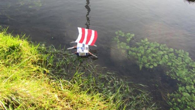 Class Pets Receive Flaming Viking Burial