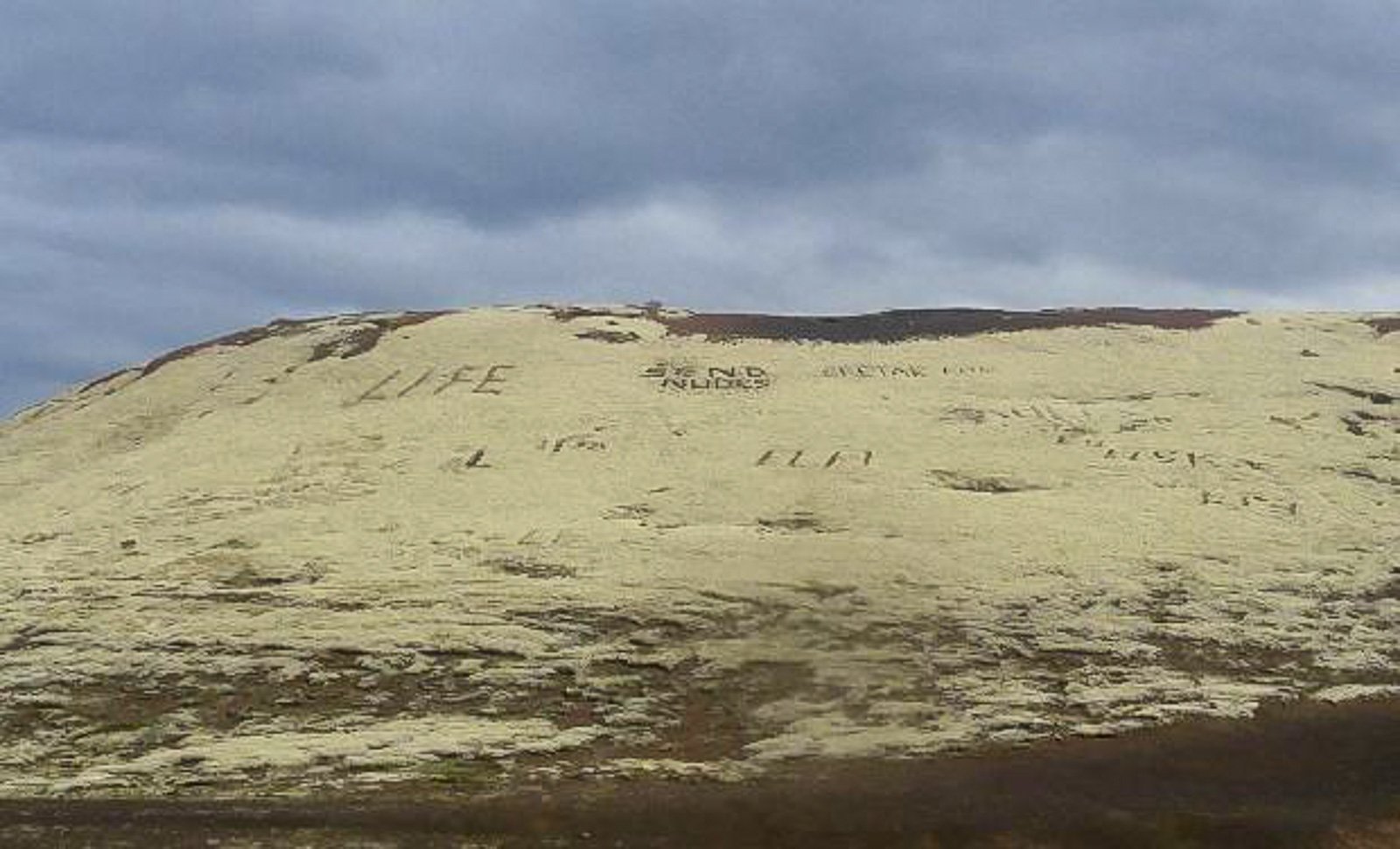Moss, Memes And Bodily Fluids: Tourists Let Loose In Iceland