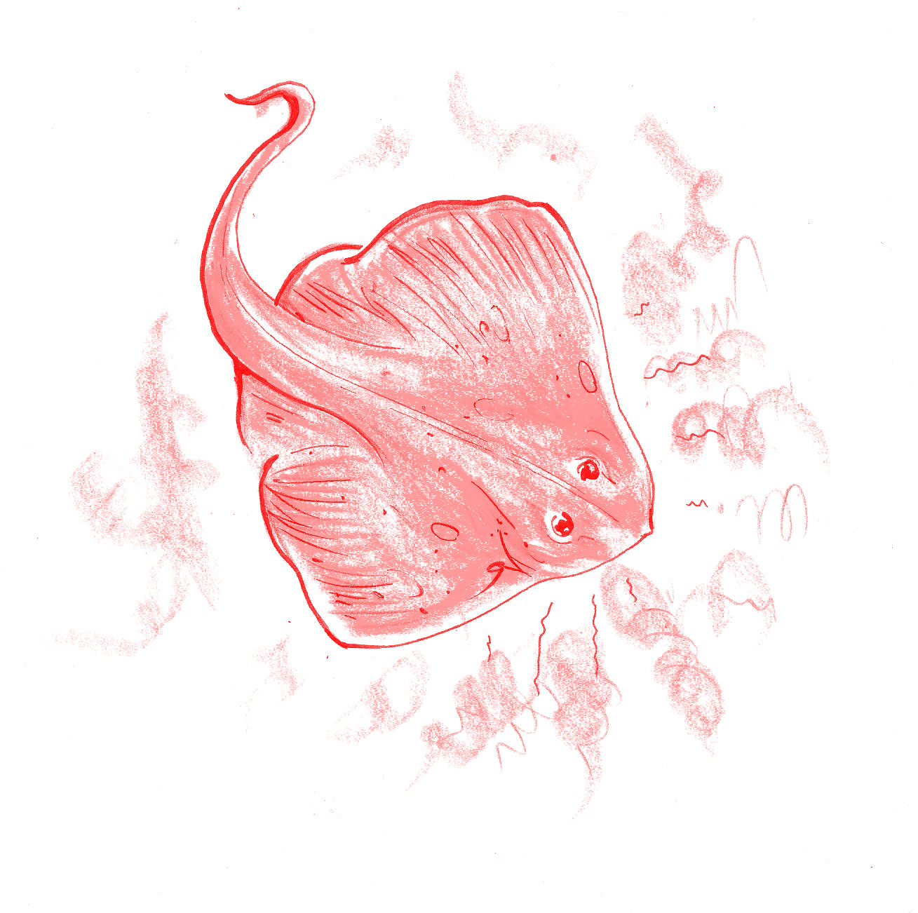 Today Is Þorláksmessa, The Day Of Putrefied Skate