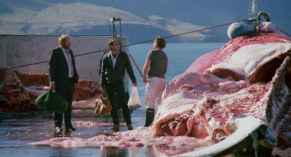 Lost Film Classics: ‘White Whales’ Washes Ashore