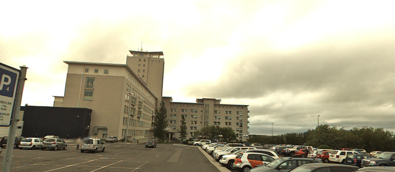 Coronavirus In Iceland: Three Confirmed, 300 Quarantined