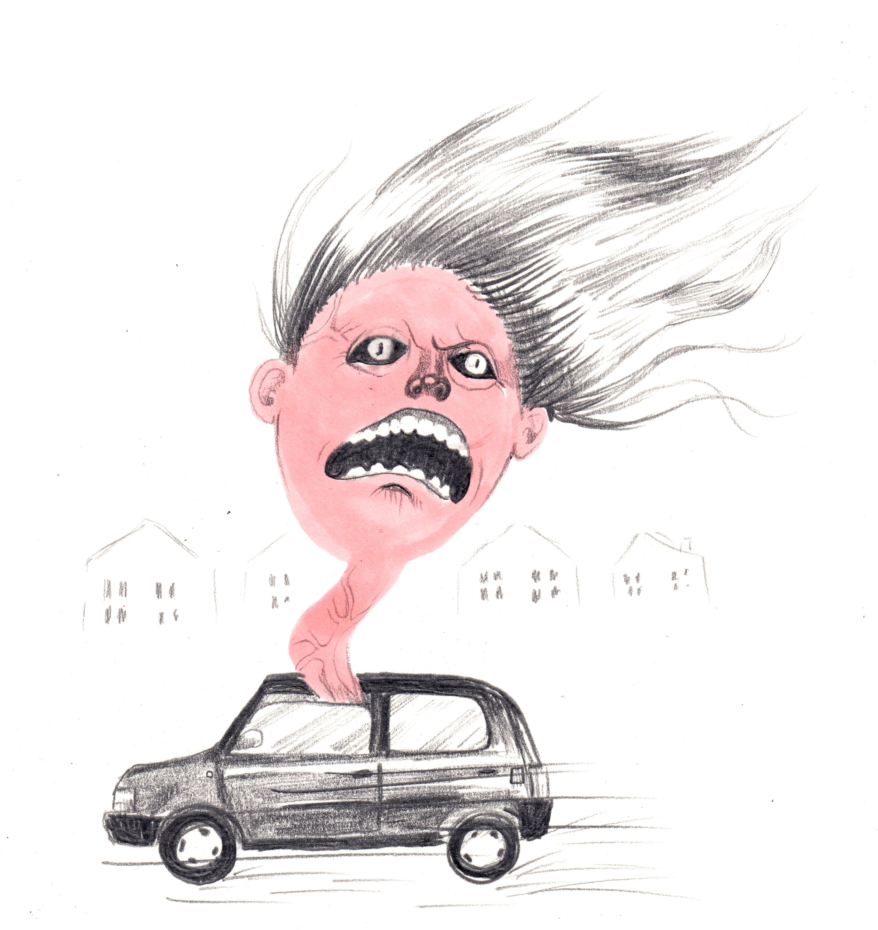 Last Words: Driving Miss Crazy