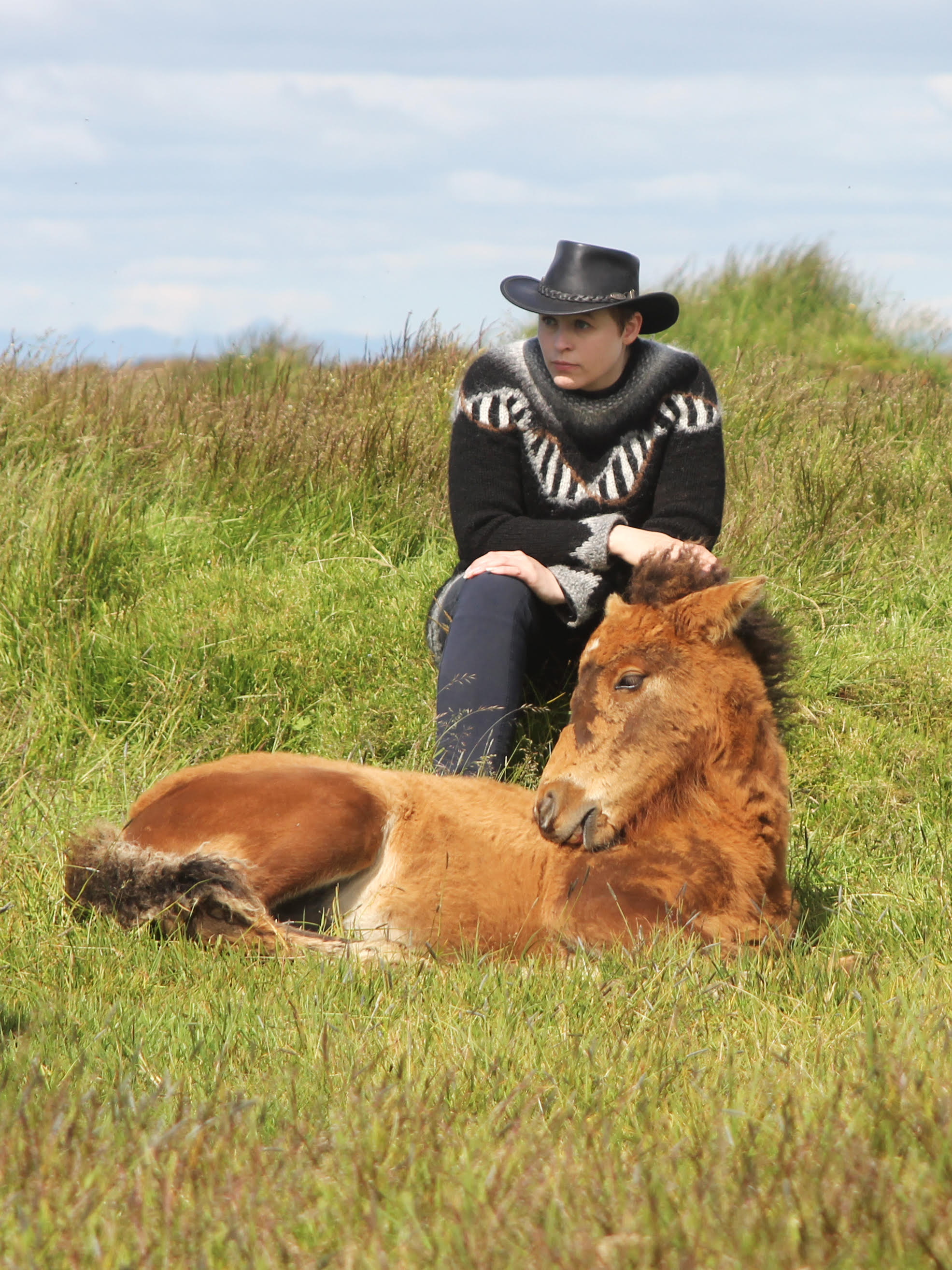 Ask A Geneticist: Why Do Icelandic Horses Have More Gaits Than Most Horse Breeds?